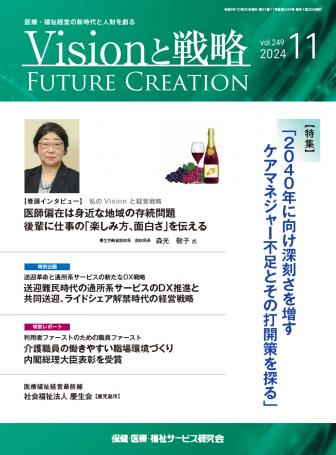 ��Vision����ά��2024ǯ11���