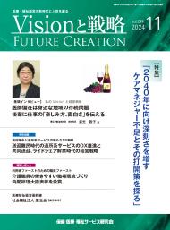 ��Vision����ά��2024ǯ11���