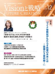 ��Vision����ά��2024ǯ12���